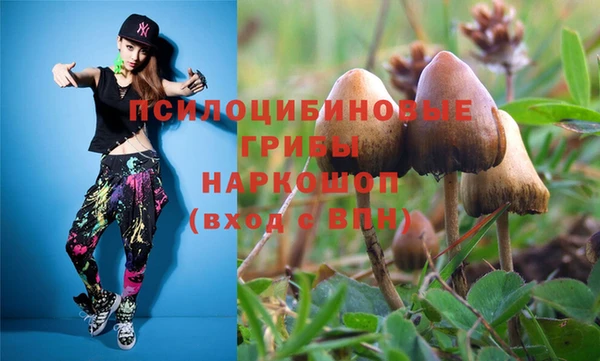 Альфа ПВП Абаза