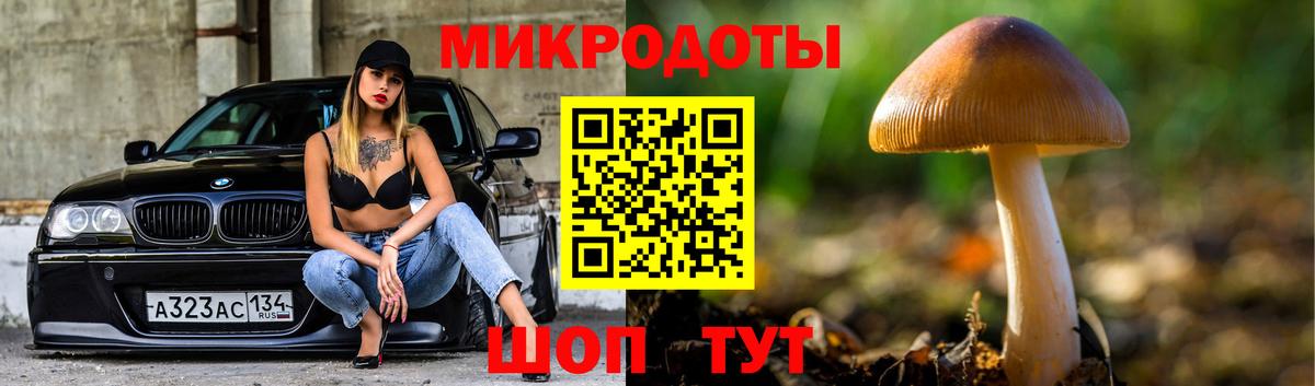 Галлюциногенные грибы MAGIC MUSHROOMS Новоуральск